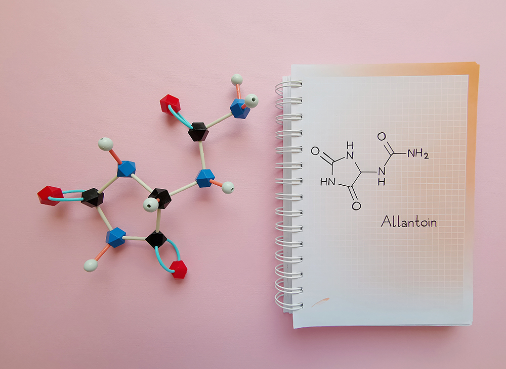 Allantoin molecule size skin penetration how much does skin absorb of this chemical compound from comfrey