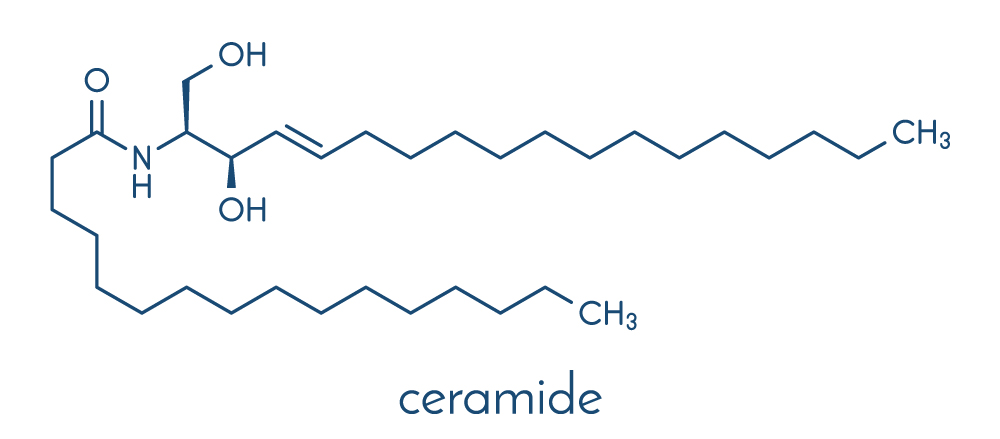 What are ceramides for skin and what is ceramide structure to keep the skin barrier healthy.