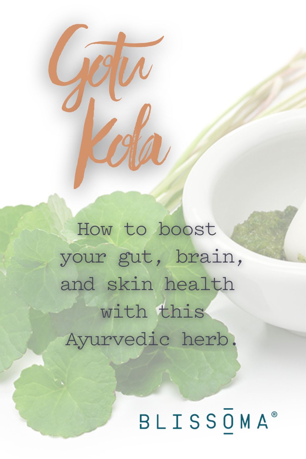 What is Gotu Kola Good For? Gotu Kola Health Benefits for Gut, Brain, and Skin