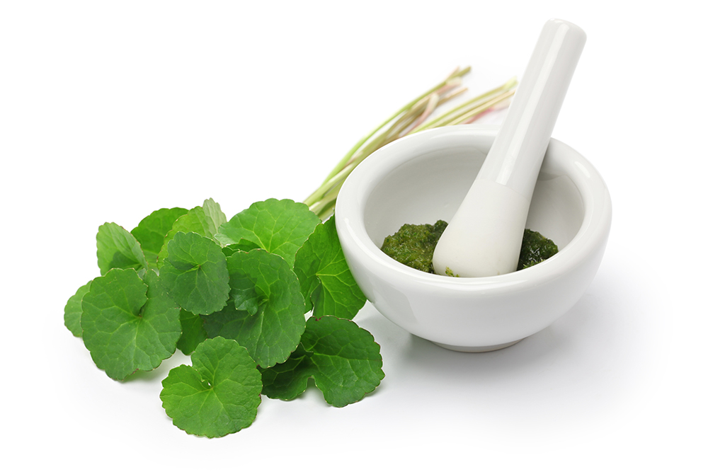 Centella Asiatica or Gotu Kola herb has many uses and benefits such as skin tightening by increasing collagen production and skin firmness and is used traditionally in Ayurveda