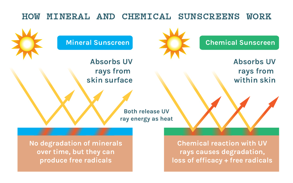 Differences between mineral and chemical sunscreen for UV protection for skin - a skin diagram of how both kinds of sunscreens work.