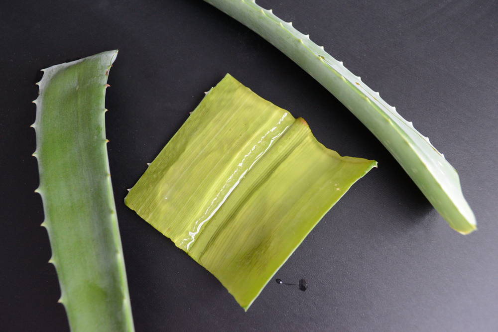 Aloe juice has anti-inflammatory properties for skin and is a homemade beauty remedy for dark under eye circles. Reduce wrinkles around the eyes with homemade beauty treatments with aloe